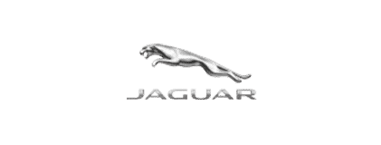 jaguar2